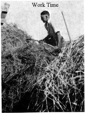 Roland pitching hay